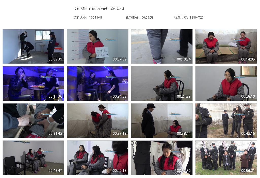 LH0005 VIP片 紫砂壶[20220817-142923].jpg