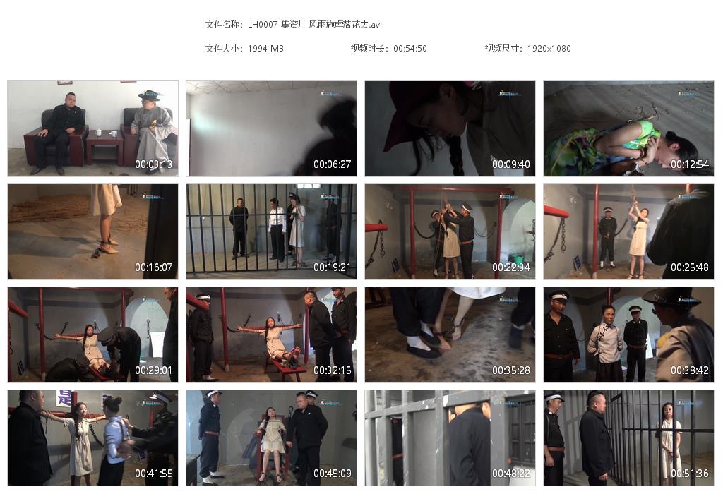 LH0007 集资片 风雨施虐落花去[20220817-143330].jpg