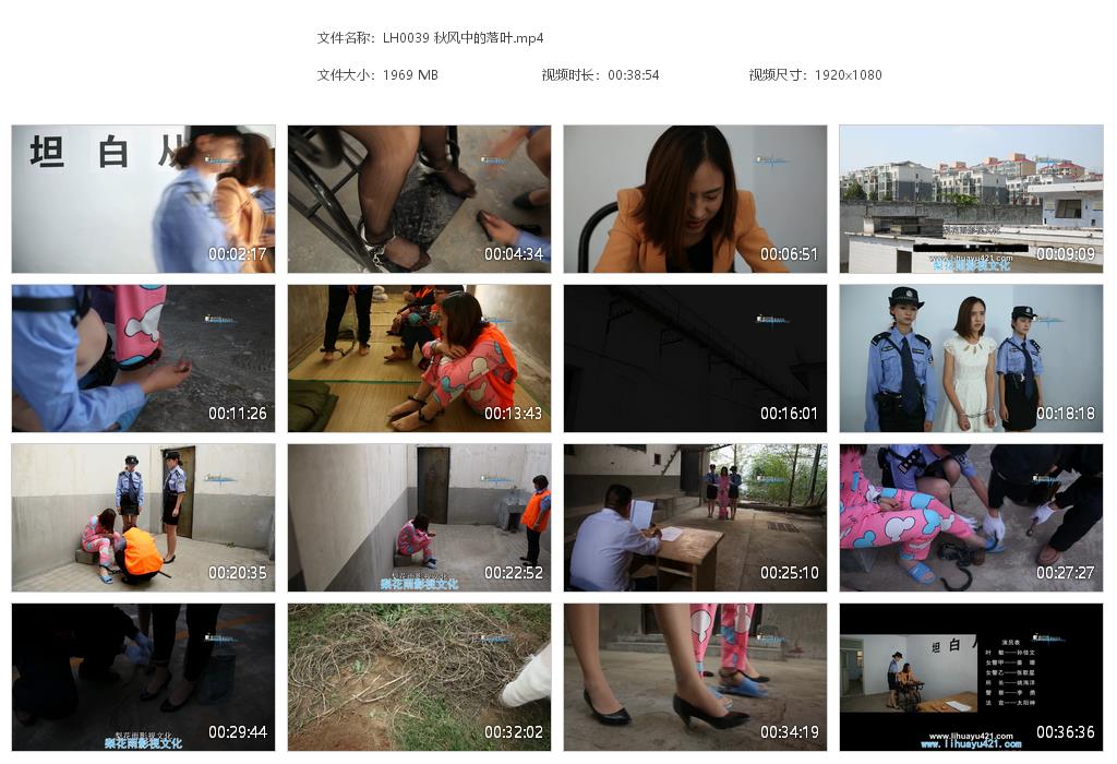 LH0039 秋风中的落叶[20220817-144500].jpg