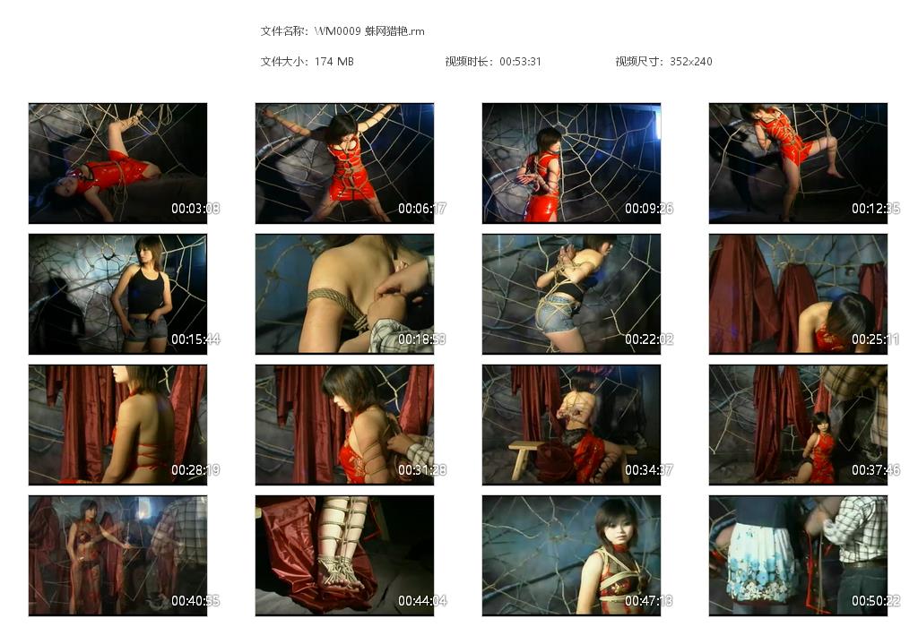 WM0009 蛛网猎艳[20220818-132428].jpg