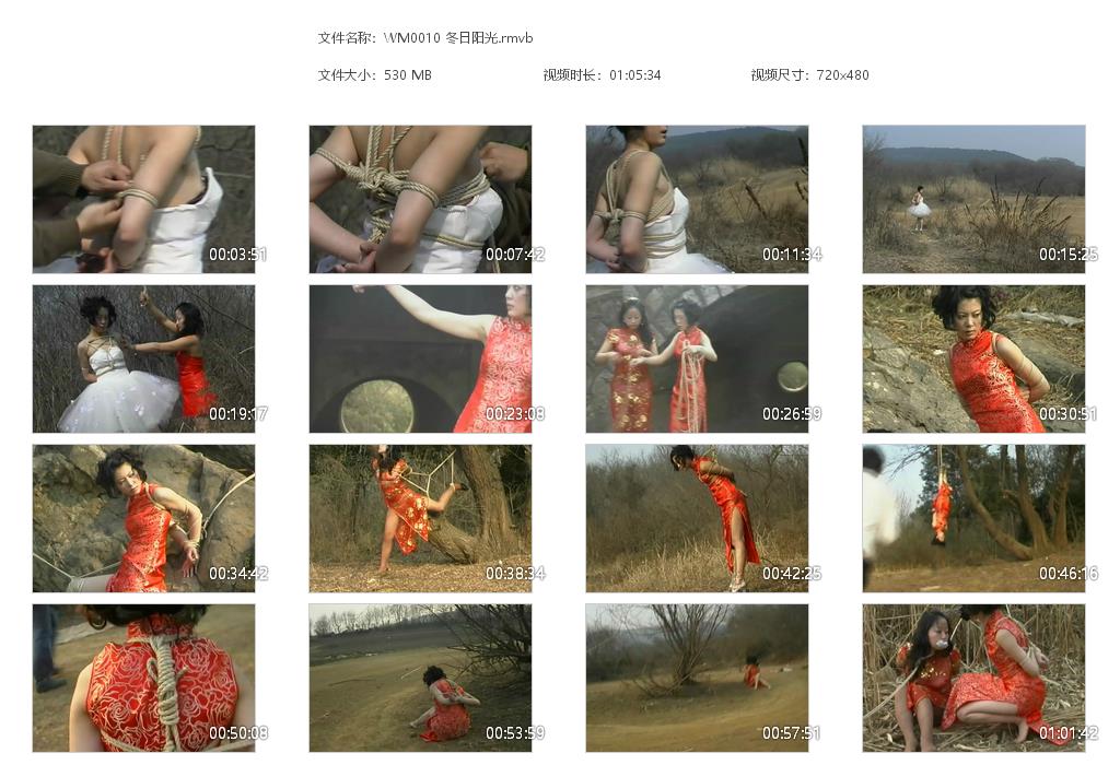 WM0010 冬日阳光[20220818-132437].jpg