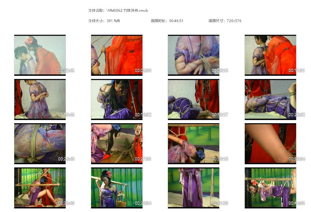 WM0062 竹林外传[20220818-133135].jpg