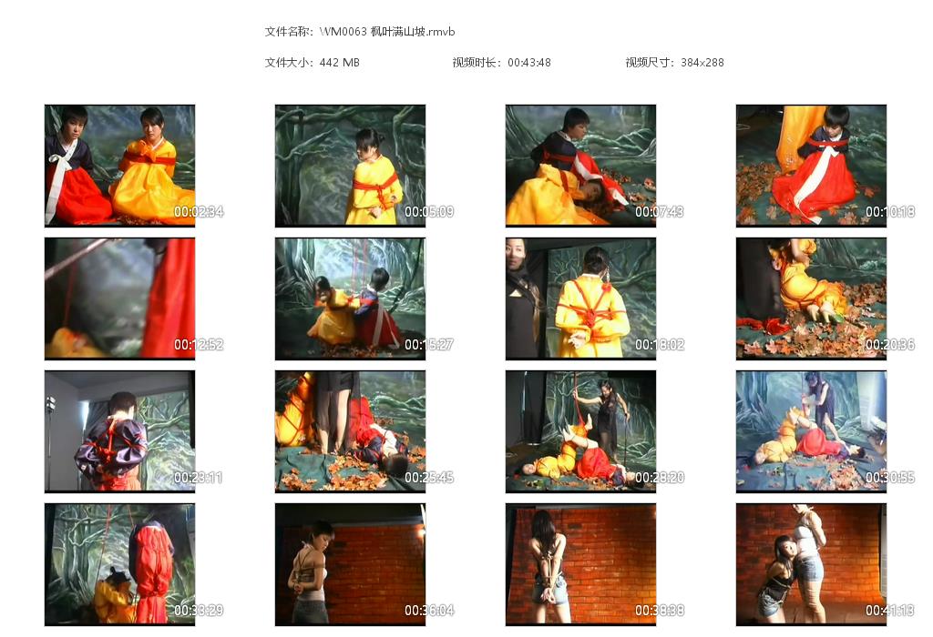 WM0063 枫叶满山坡[20220818-133140].jpg