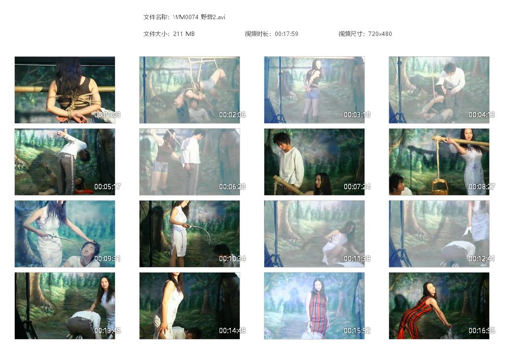 WM0074 野营2[20220818-133301].jpg