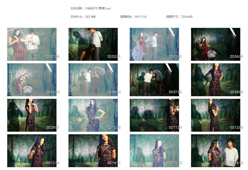 WM0075 野营3[20220818-133351].jpg