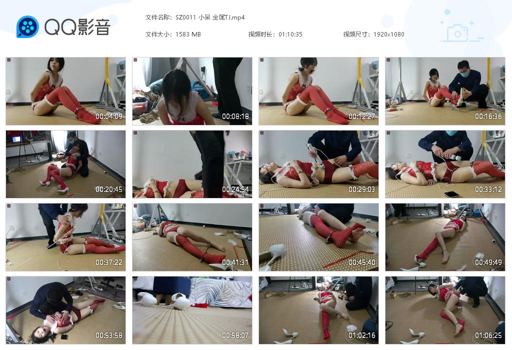 SZ0011 小呆 金属TJ[20220820-123353].jpg