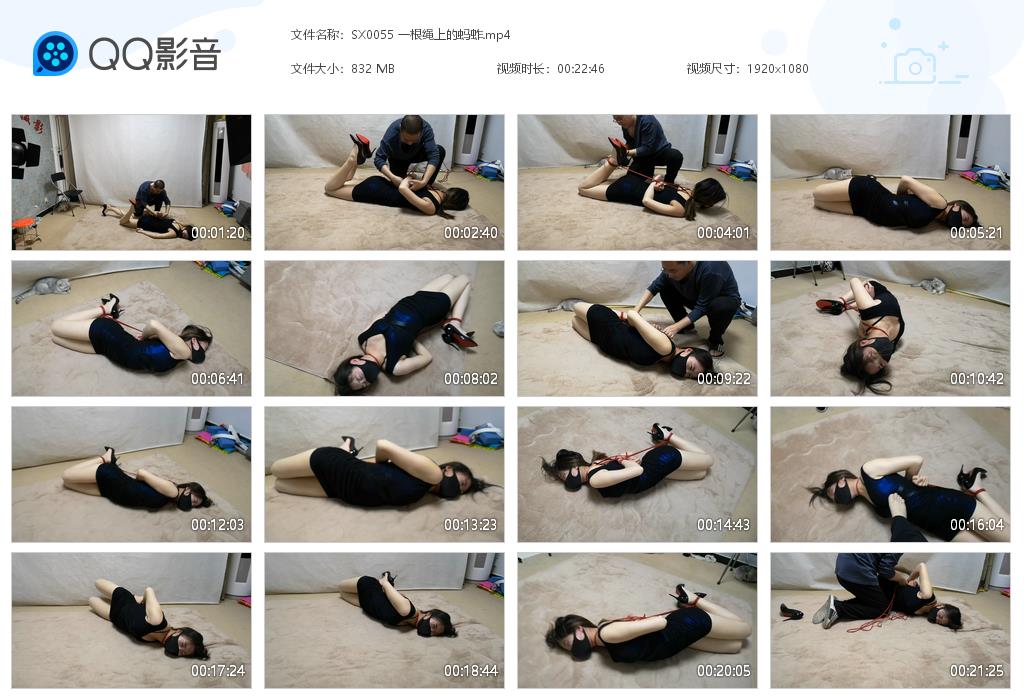 SX0055 一根绳上的蚂蚱[20220825-143855].jpg