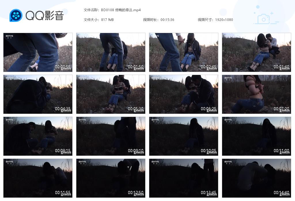 BD0108 傍晚的草丛[20220914-005806].jpg