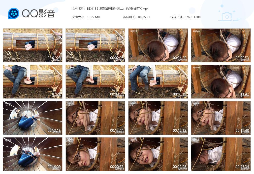 BD0182 鹿野游乐园计划二：狗洞放置[20220915-001417].jpg