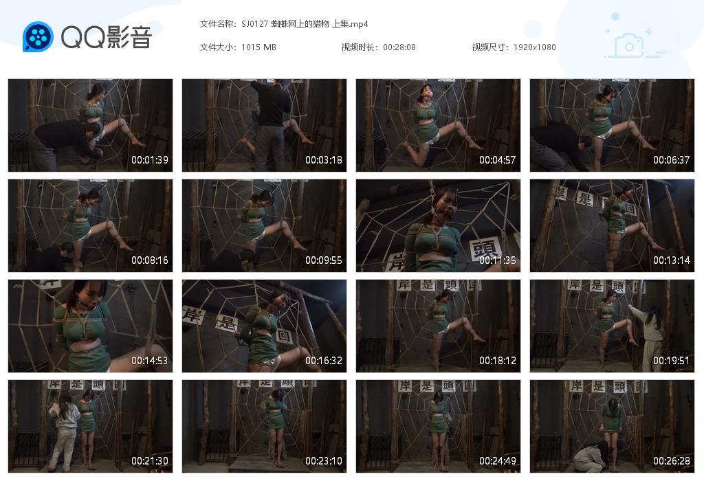 SJ0127 蜘蛛网上的猎物 上集[20220919-092249].jpg