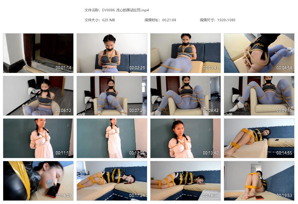 DY0086 沈心的面试经历[20220920-165355].jpg