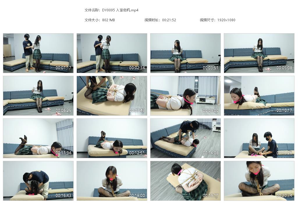 DY0095 入室危机[20220920-165556].jpg