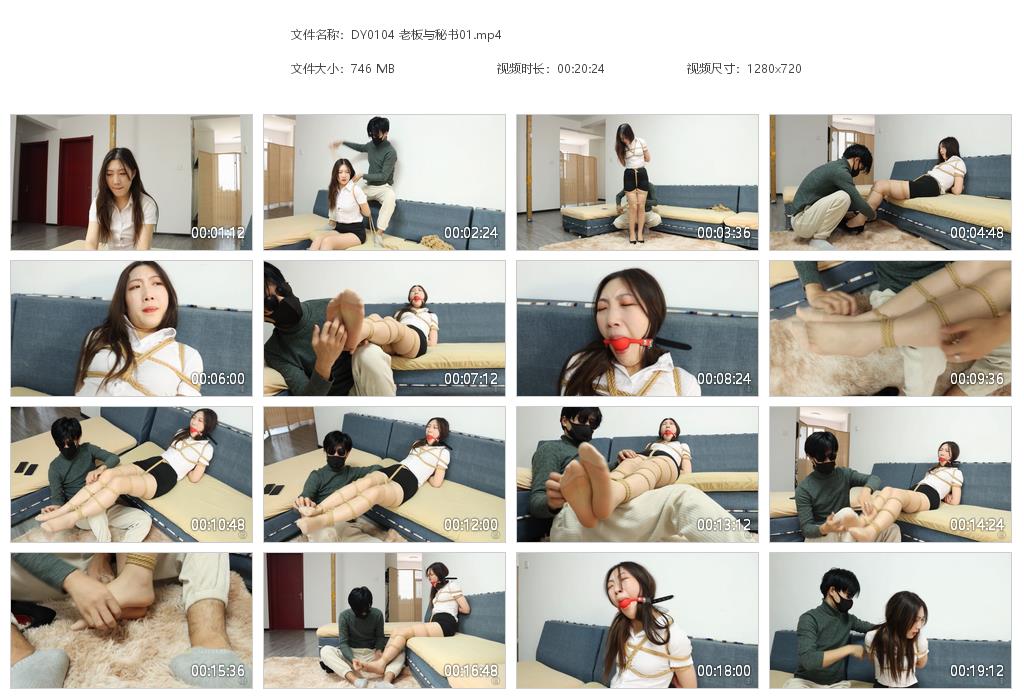 DY0104 老板与秘书01[20220920-165746].jpg