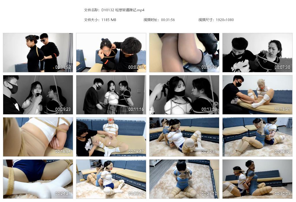 DY0132 检察官遇难记[20220920-170433].jpg