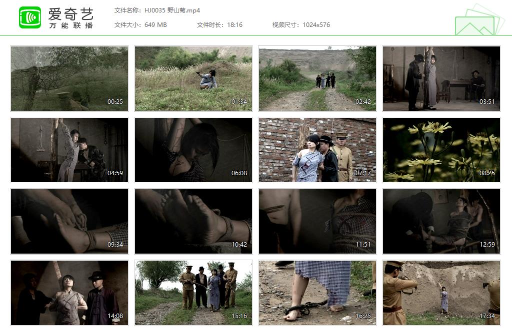 HJ0035 野山菊[20221009-143701575].jpg