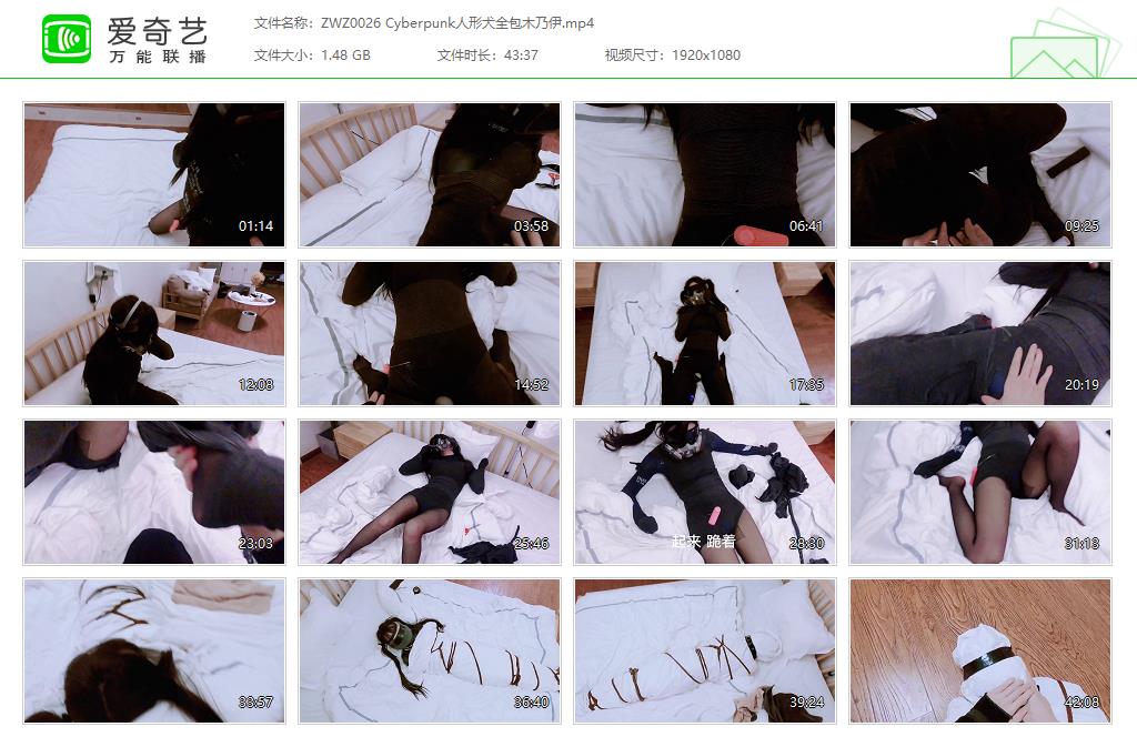 ZWZ0026 Cyberpunk人形犬全包木乃伊[20221010-132556923].jpg