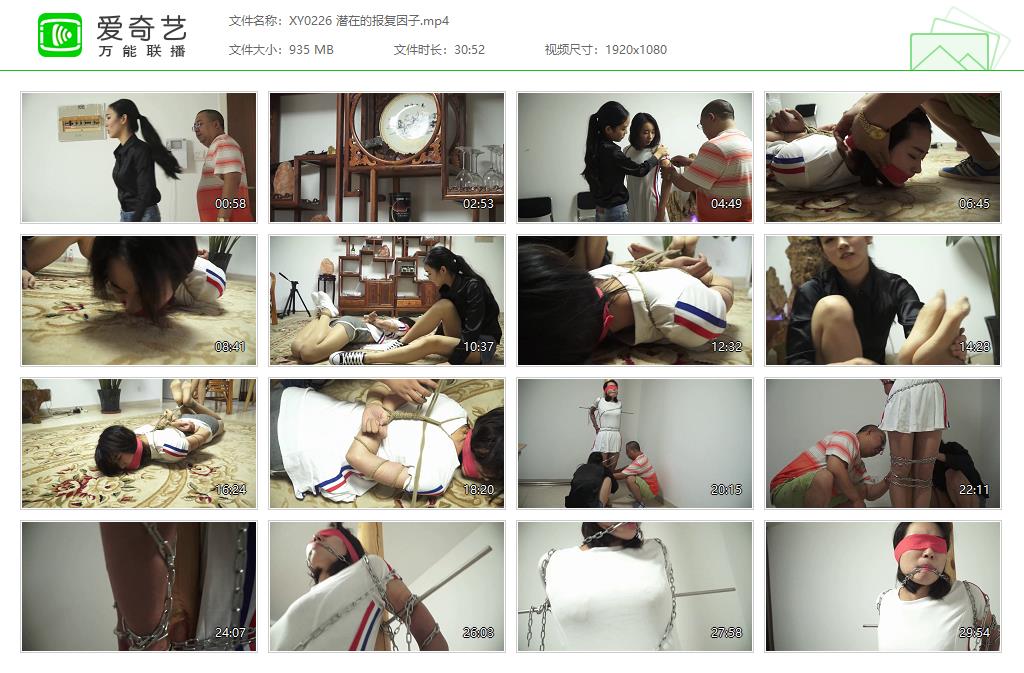 XY0226 潜在的报复因子[20221012-132959425].jpg