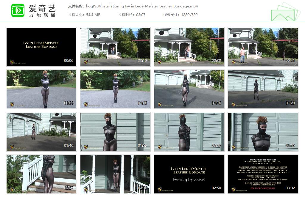 0062A hogIV04installation_lg Ivy in LederMeister Leather Bondage[20221102-144614154].jpg