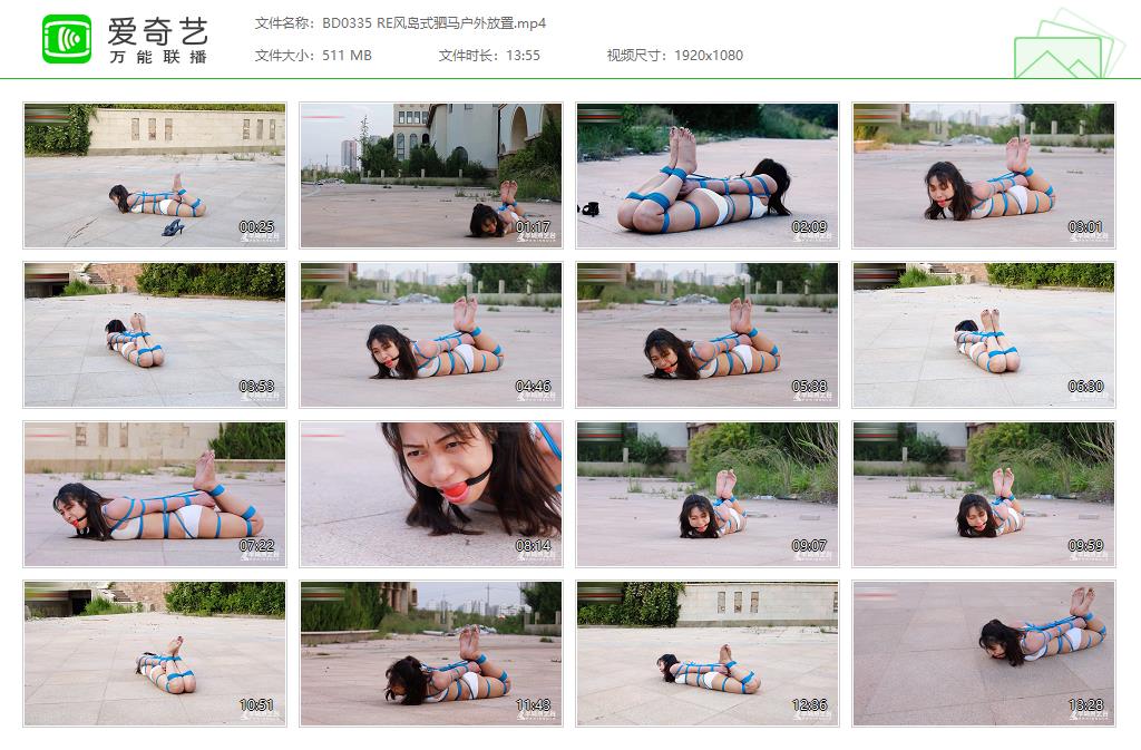 BD0335 RE风岛式驷马户外放置[20221114-112049448].jpg