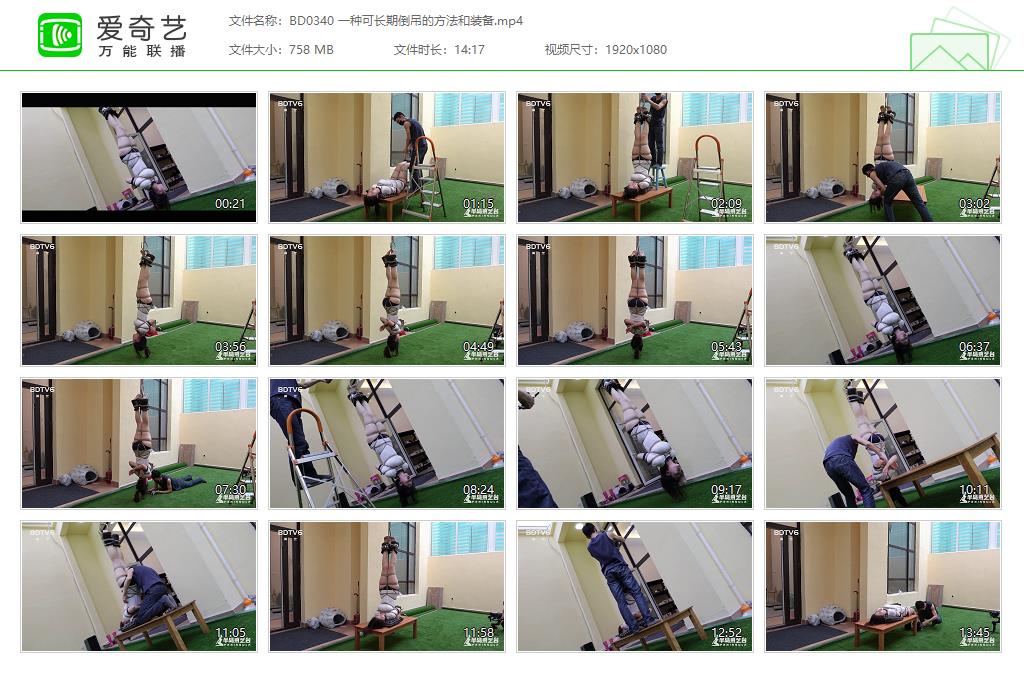 BD0340 一种可长期倒吊的方法和装备[20221114-112502231].jpg