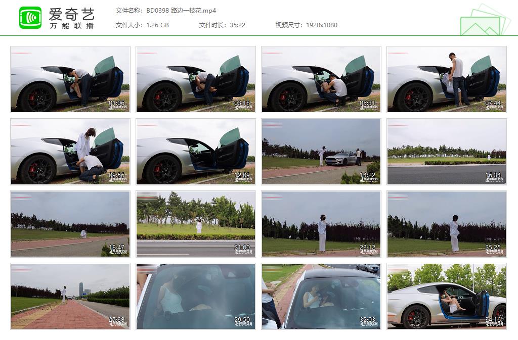 BD0398 路边一枝花[20221120-113011595].jpg