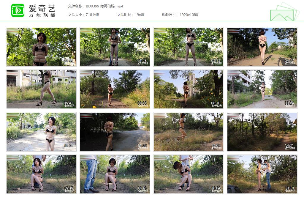 BD0399 绿野仙踪[20221120-113100630].jpg