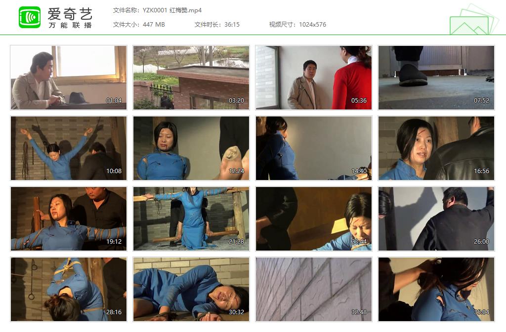 YZK0001 红梅赞[20221124-141854356].jpg