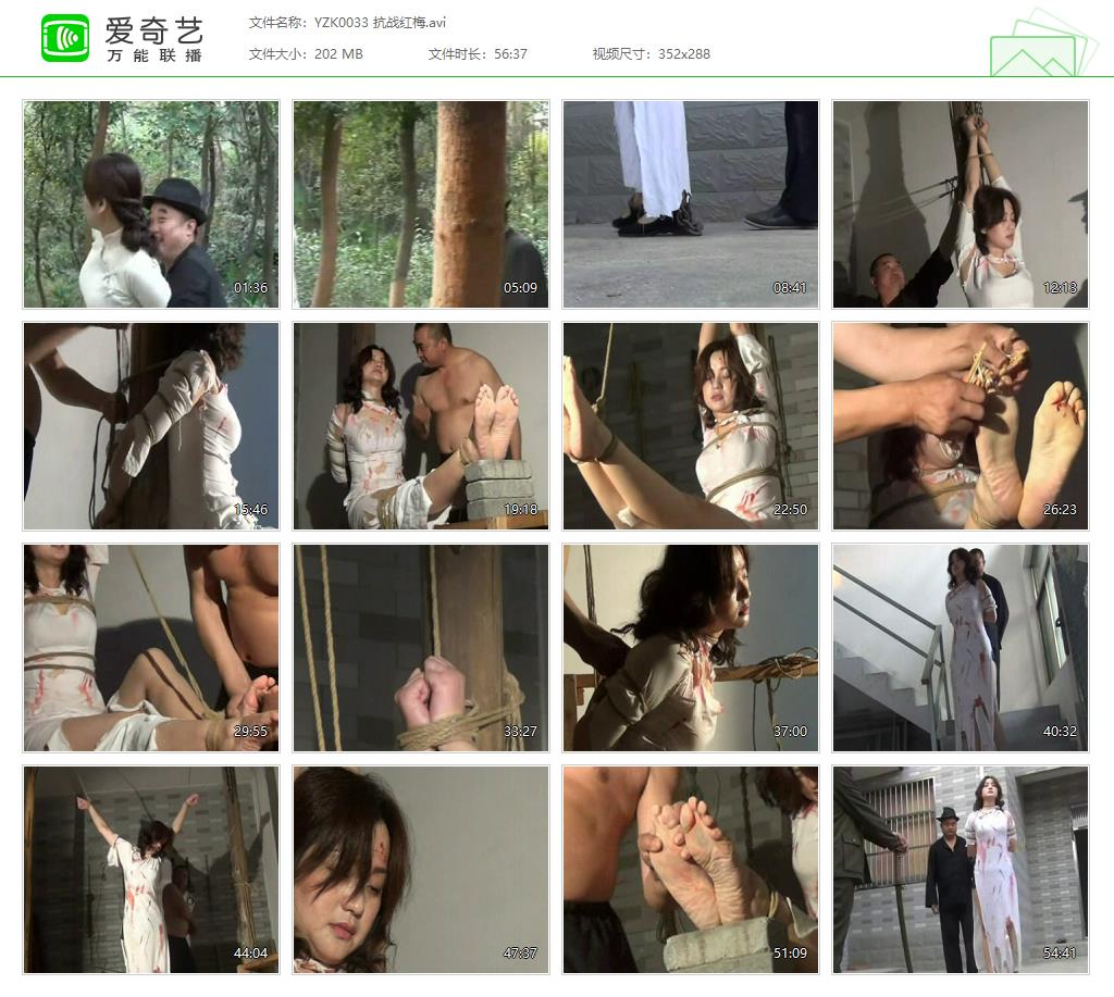 YZK0033 抗战红梅[20221127-100146541].jpg