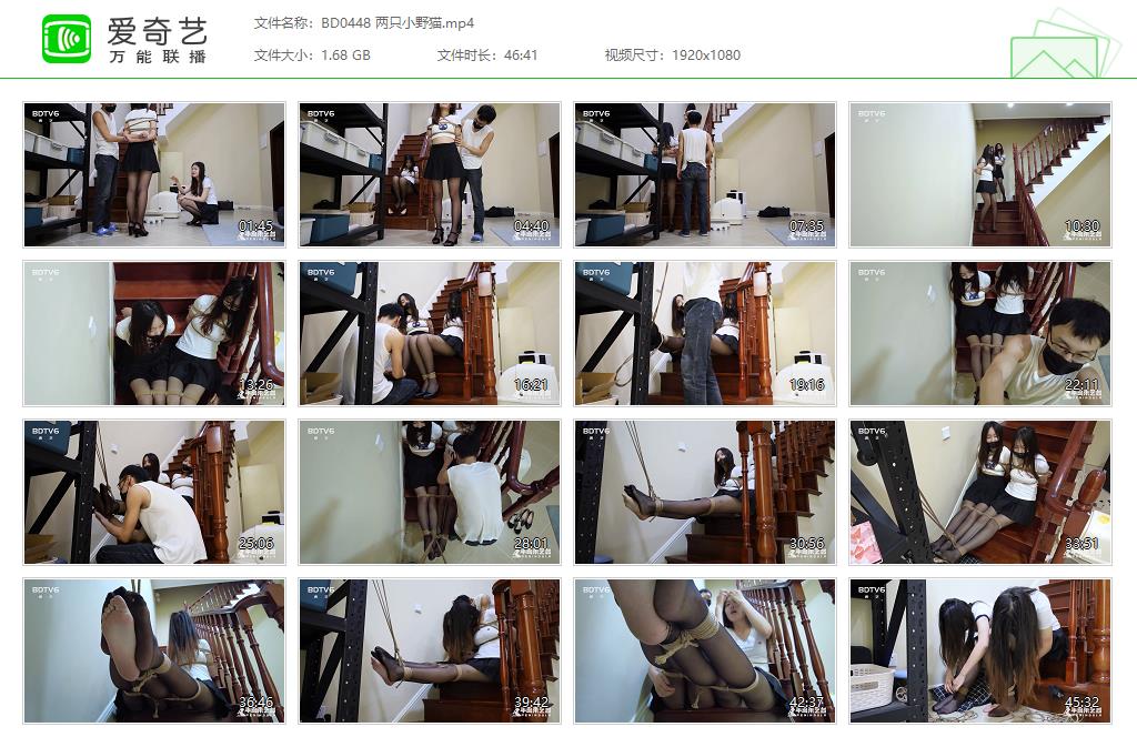 BD0448 两只小野猫[20230321-133027495].jpg