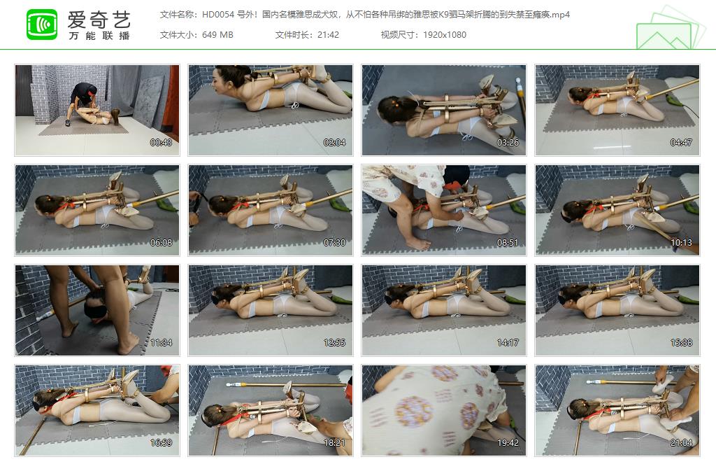HD0054 号外！国内名模雅思成犬奴，从不怕各种吊绑的雅思被K9驷马架折腾的到失禁至瘫.jpg