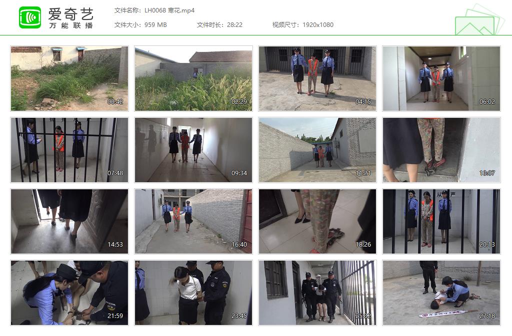 LH0068 寒花[20230402-114101996].jpg