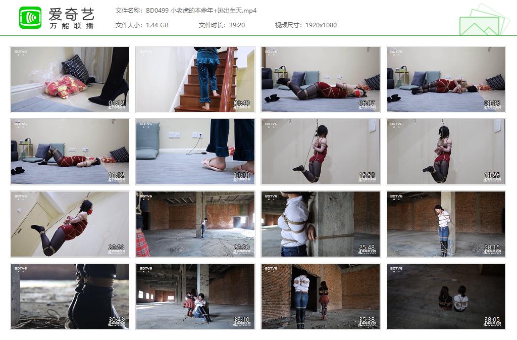 BD0499 小老虎的本命年 逃出生天[20230321-140727185].jpg