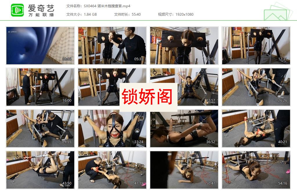 SX0464 诺米木枷搜查官[20230517-162700815].jpg