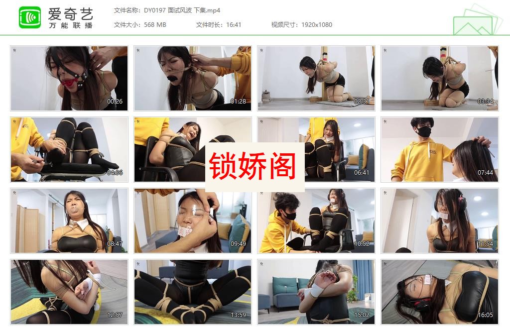 DY0197 面试风波 下集[20230526-163956314].jpg