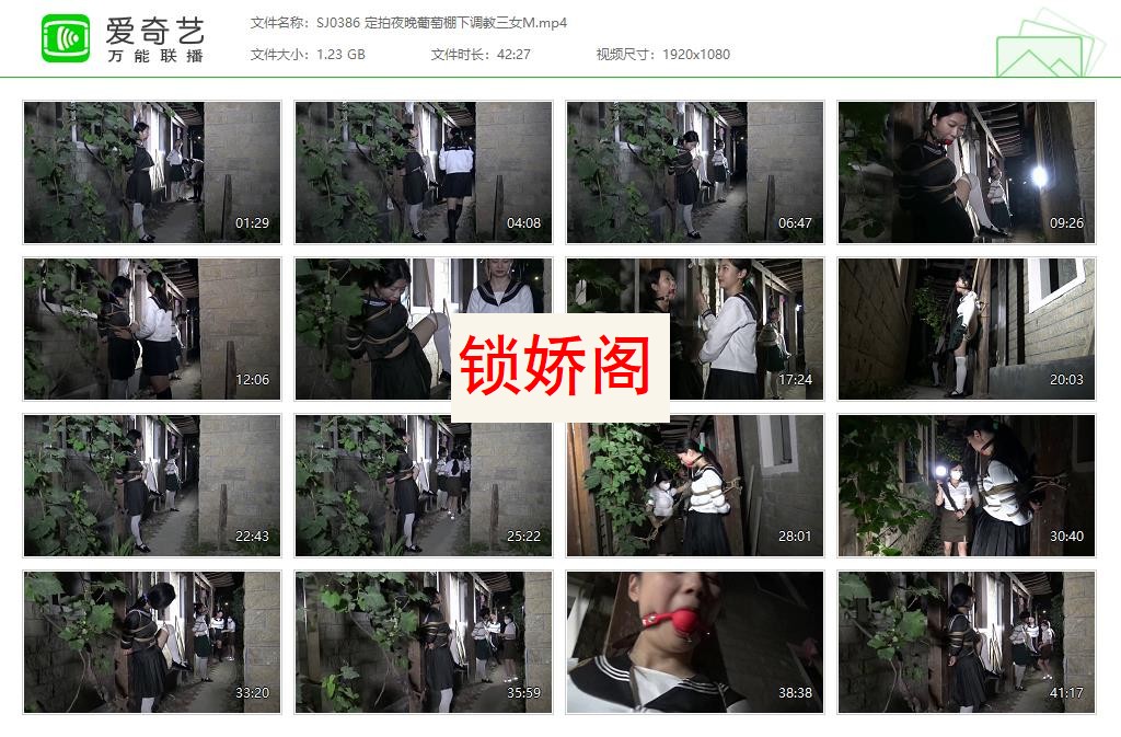 SJ0386 定拍夜晚葡萄棚下调教三女M[20230611-153649176].jpg