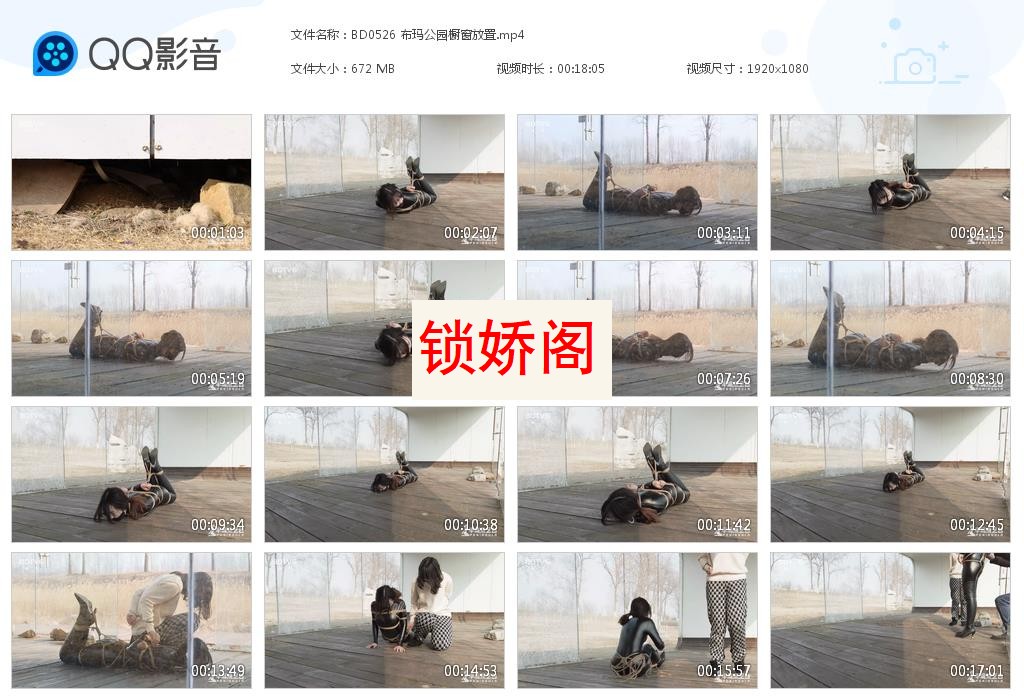 BD0526 布玛公园橱窗放置[20230711-183846].jpg