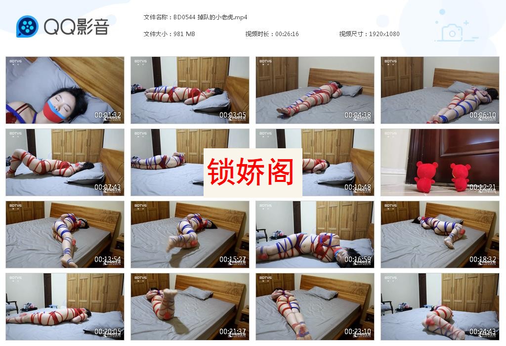 BD0544 掉队的小老虎[20230717-181715].jpg