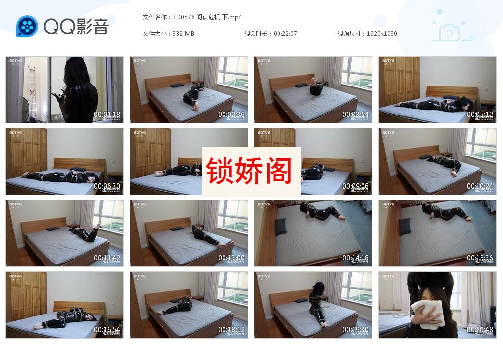 BD0578 间谍危机 下[20230720-152335].jpg