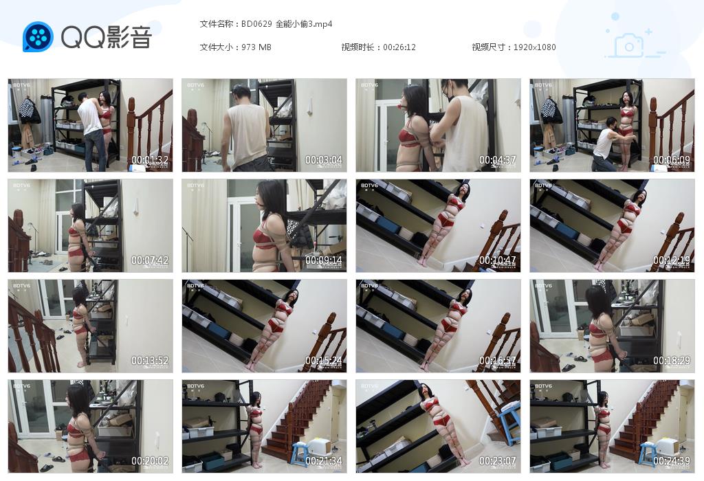 BD0629 全能小偷3[20230808-160803].jpg