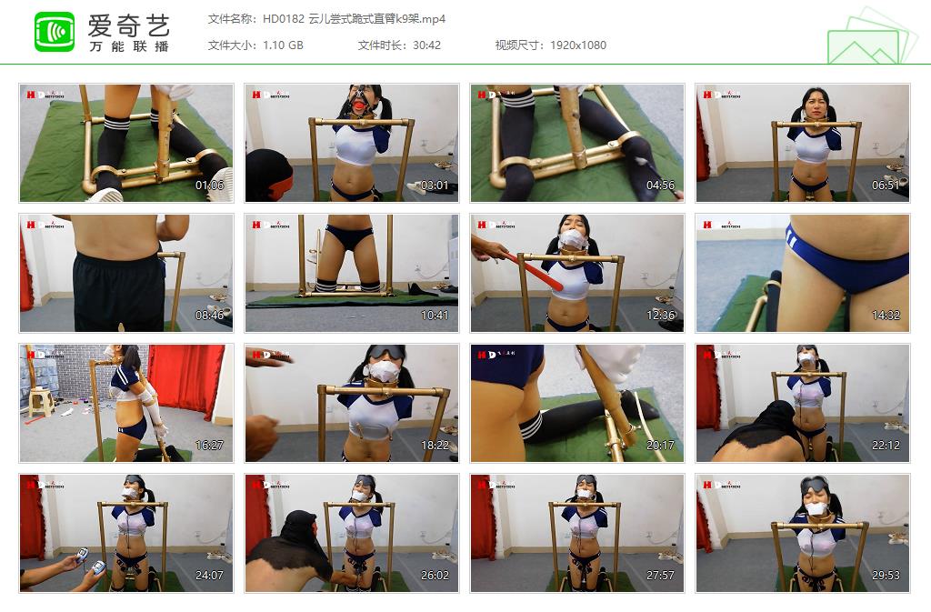 HD0182 云儿尝式跪式直臂k9架[20230911-120157848].jpg