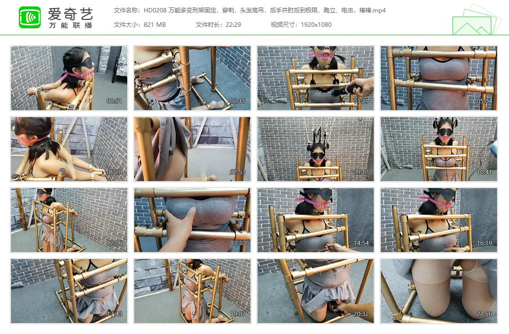 HD0208 万能多变刑架固定，穿刺，头发高吊，后手并肘后到极限，跪立、电击，棒棒[2023.jpg