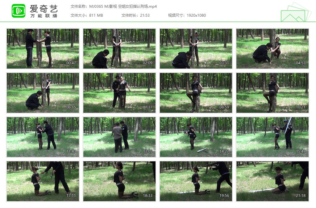 MJ0365 MJ影视 空姐女犯指认刑场[20250507-162146714].jpg