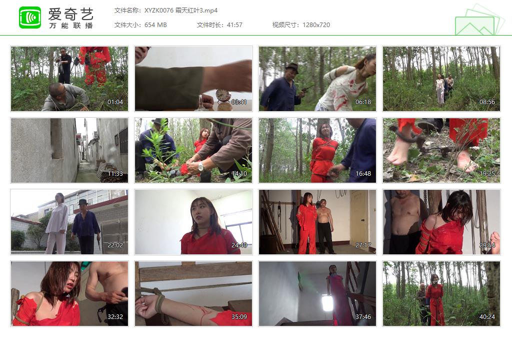 XYZK0076 霜天红叶3[20250509-161007985].jpg