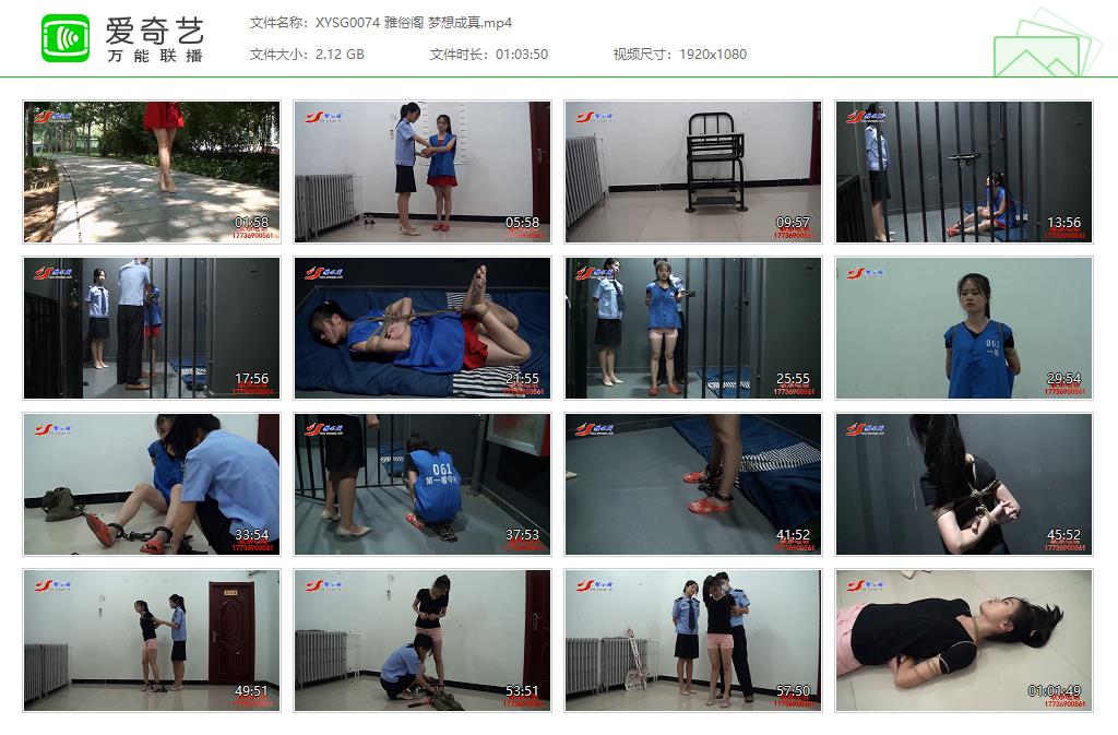 XYSG0074 雅俗阁 梦想成真[20250512-134550366].jpg