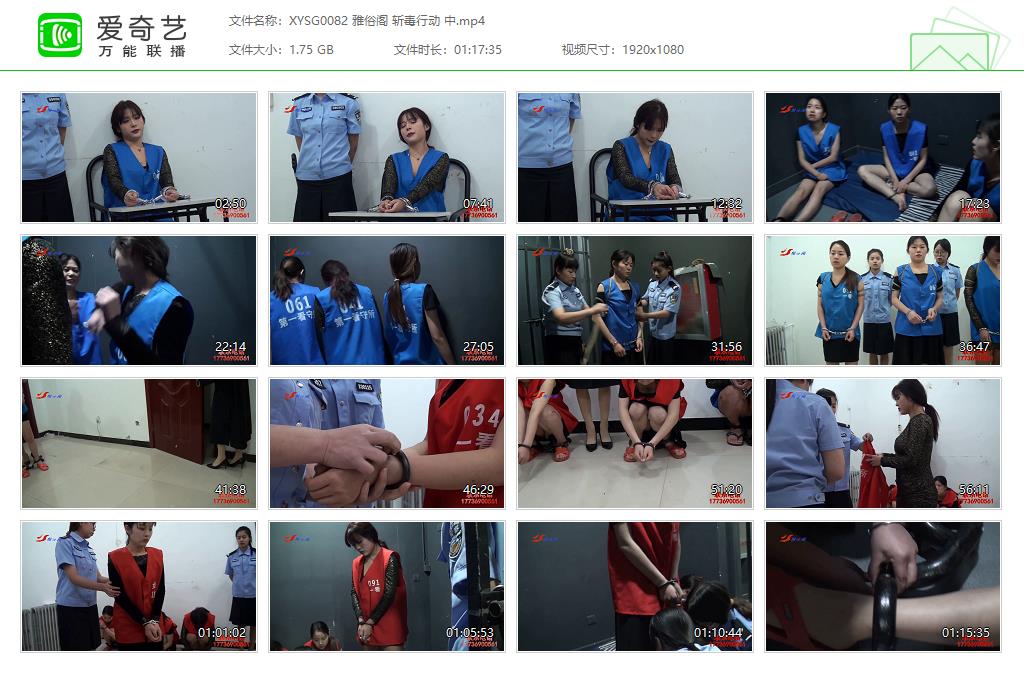 XYSG0082 雅俗阁 斩毒行动 中[20250512-134746781].jpg