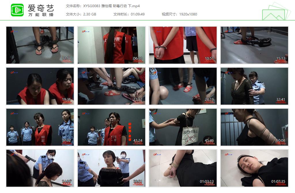 XYSG0083 雅俗阁 斩毒行动 下[20250512-13480201].jpg