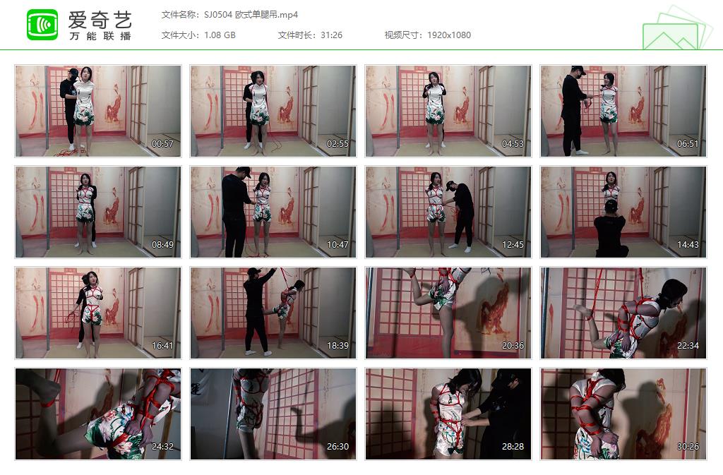 SJ0504 欧式单腿吊[20250509-142526548].jpg