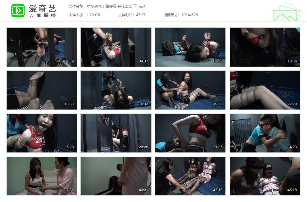 XYSG0103 雅俗阁 井花出击 下[20250512-135624202].jpg