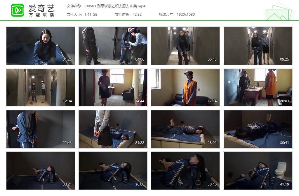 SJ0563 刑事诉讼之知法犯法 中集[20250509-145632683].jpg