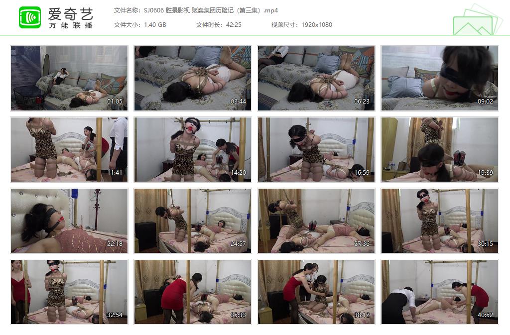 SJ0606 胜景影视 贩卖集团历险记（第三集）[20250509-151709312].jpg